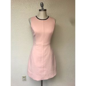 Banana Republic Pink Dress